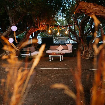 Exi Sea Side 4* פריסה