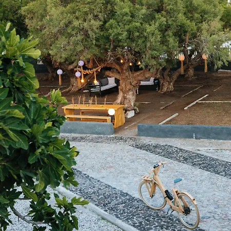 Exi Sea Side 4* Перисса